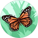 Homepage Elisa Mura profile picture